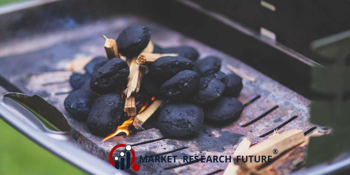 Revealed: Lucrative Investment Opportunities in the Coal Briquettes Market