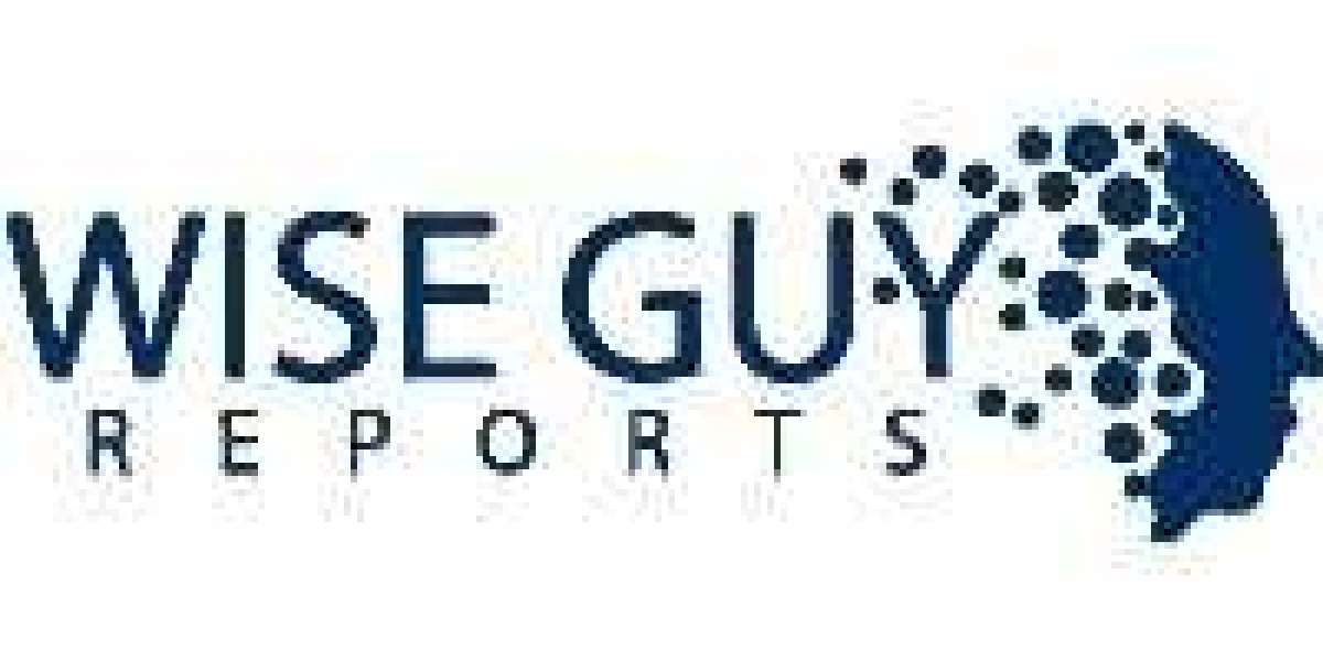 Competitive Edge: Growth Dynamics in the Fencing Sports Equipment Market