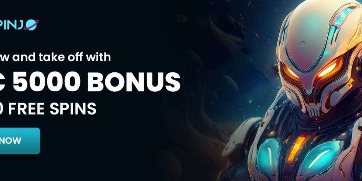 The Spinjo Beginner's Roadmap to Digital Entertainment in New Zealand 