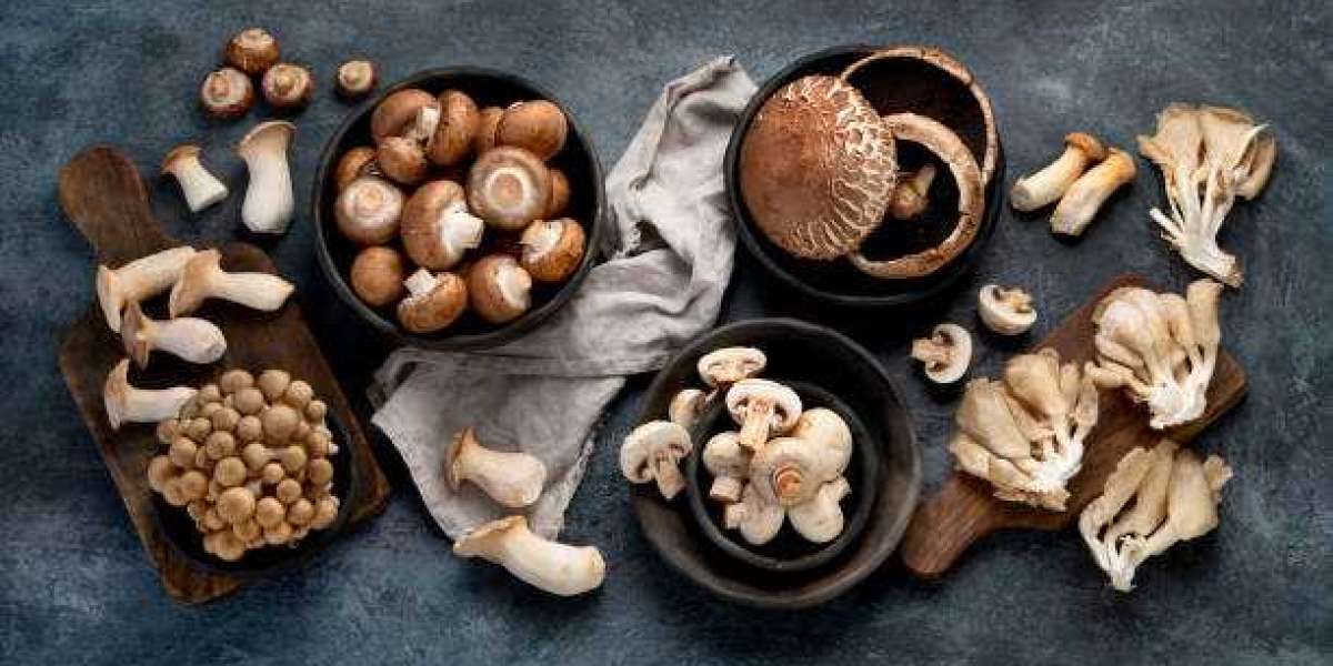 Article Picture