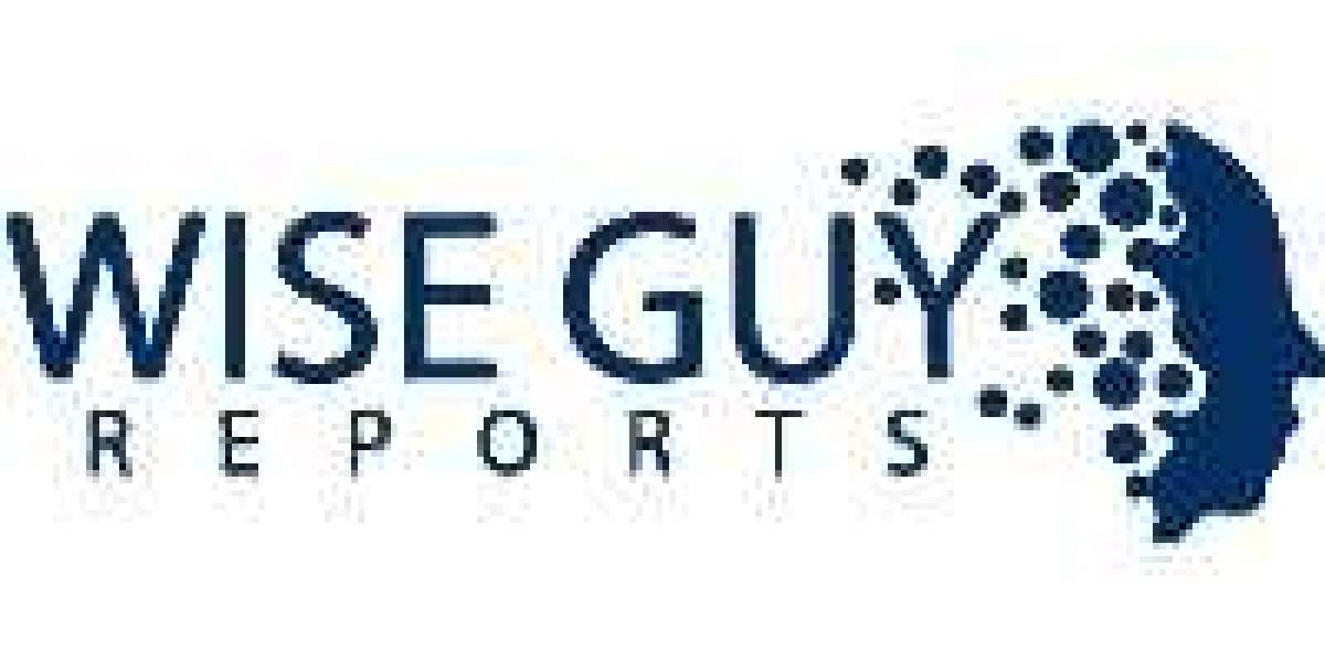 Trace Element Fertilizers Market Trends Shaping Modern Farming