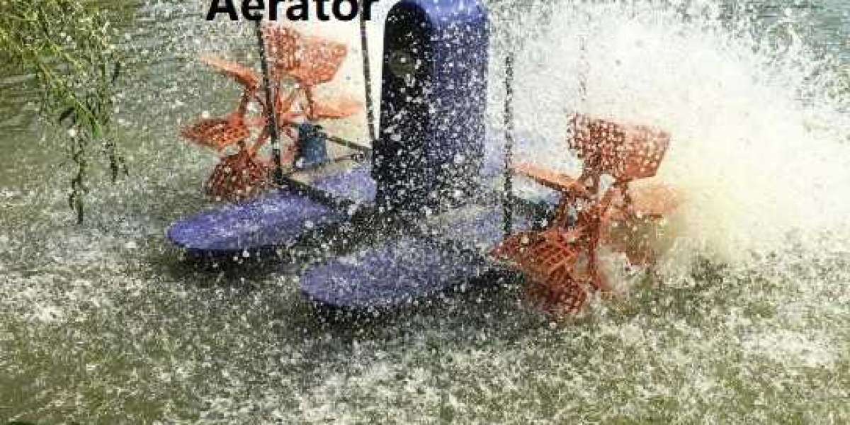 Article Picture